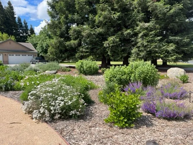 Trusted lawn mowing service with custom design across Springville, CA - Quercus Landscape Design