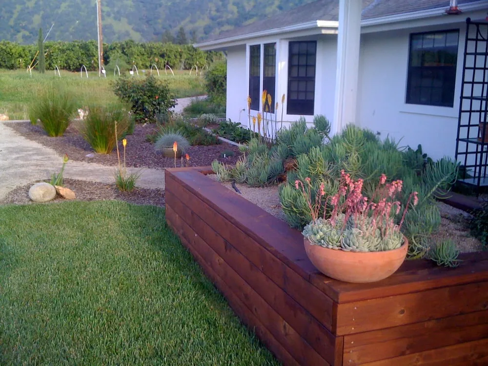 Trusted yard cleanup service in Springville, CA by Quercus Landscape Design
