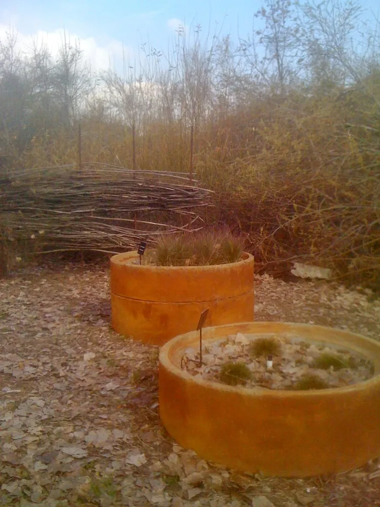 Expert yard maintenance in Springville, CA - Quercus Landscape Design