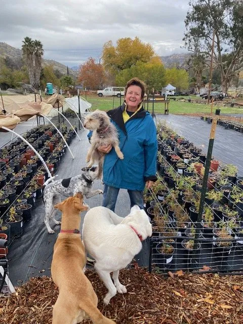 Affordable landscape design in Springville, CA by Quercus Landscape Design