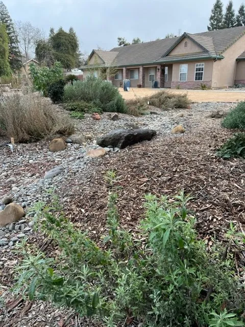 Top-rated yard maintenance for year-round maintenance across Springville, CA - Quercus Landscape Design