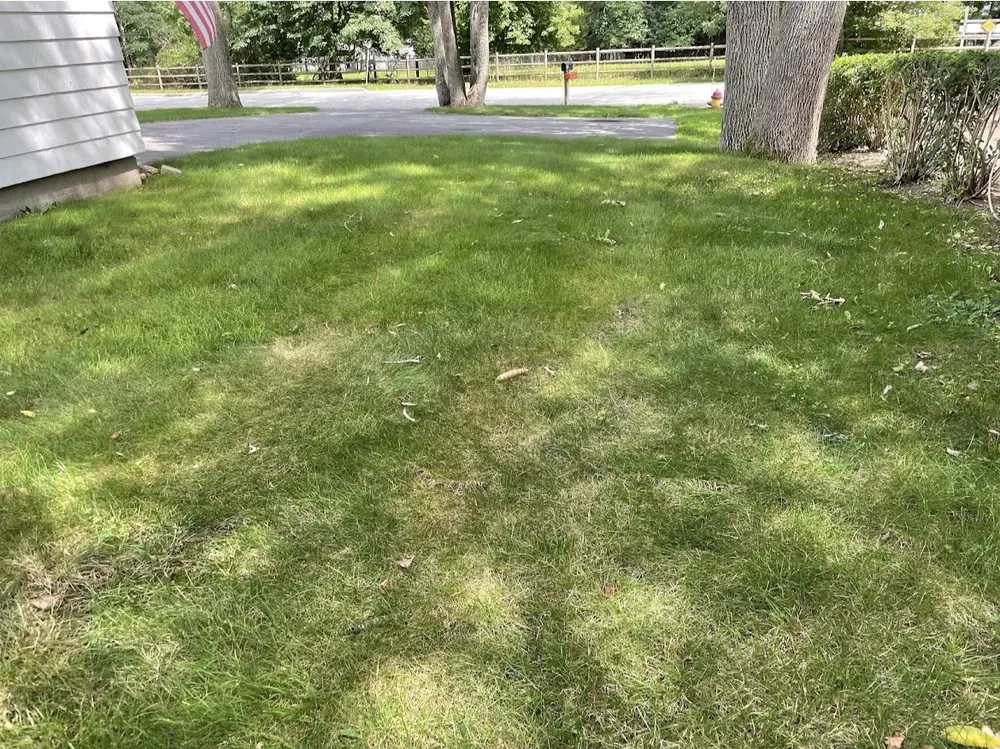 Trusted lawn mowing service in North Attleborough, MA - Quest Landscapes