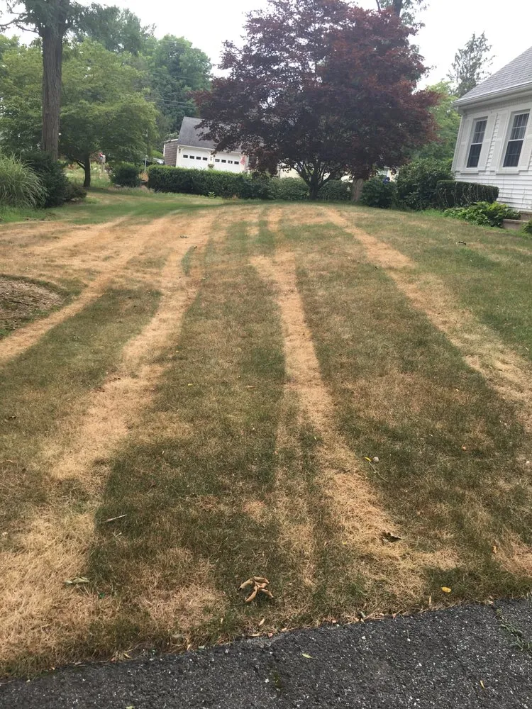 Local yard cleanup service for beautiful yards in North Attleborough, MA by Quest Landscapes