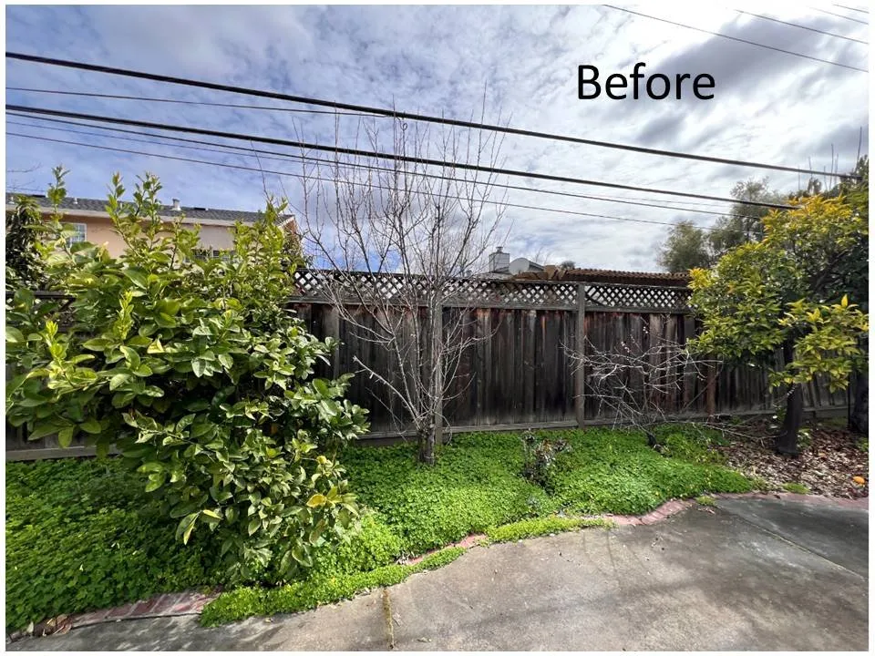 Local residential landscaping experts serving San Jose, CA - Quetzal Landscaping and Maintenance Service