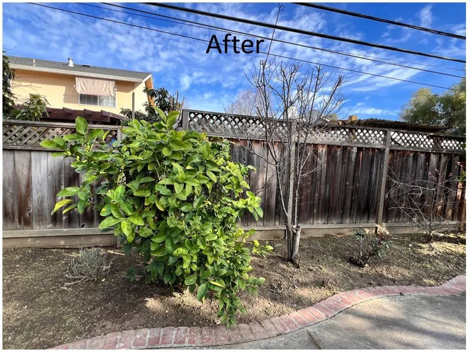 Top-rated landscape installation near you across San Jose, CA - Quetzal Landscaping and Maintenance Service