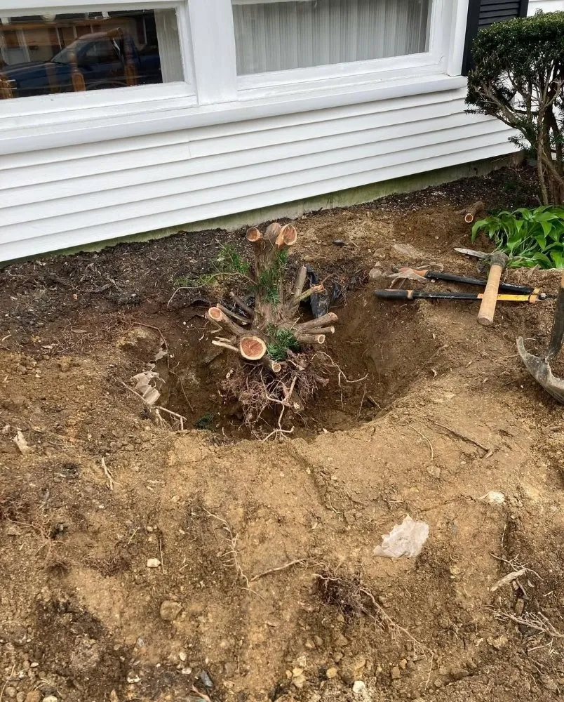 Custom landscape installation for homes across San Jose, CA - Quetzal Landscaping and Maintenance Service