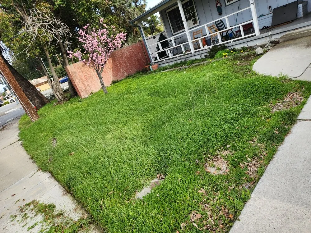 Top-rated garden landscaping for residential properties in San Jose, CA by Quetzal Landscaping and Maintenance Service