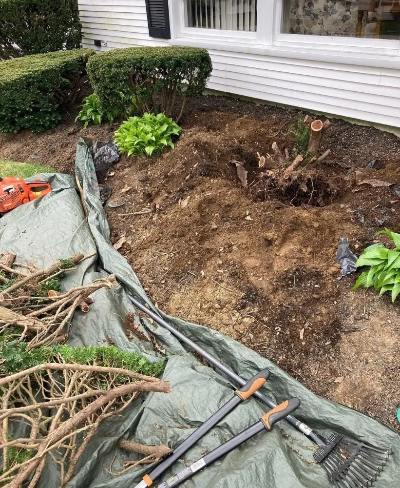 Top-rated yard maintenance in San Jose, CA - Quetzal Landscaping and Maintenance Service