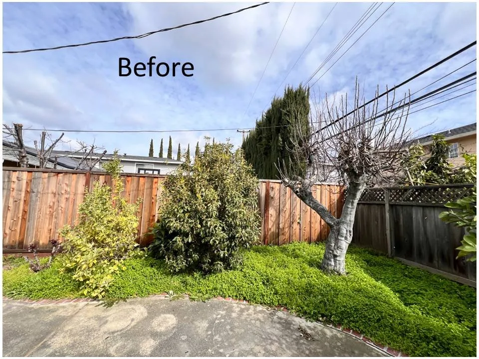 Expert yard cleanup service for homes in San Jose, CA by Quetzal Landscaping and Maintenance Service