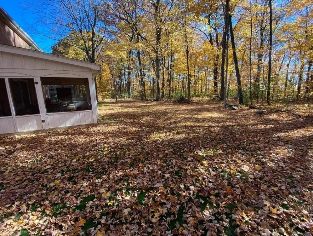 Local yard cleanup service in San Jose, CA - Quetzal Landscaping and Maintenance Service