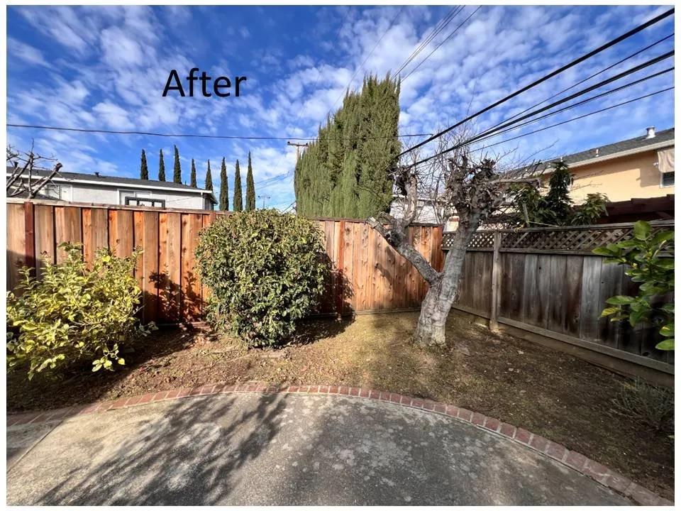 Professional garden landscaping in San Jose, CA - Quetzal Landscaping and Maintenance Service