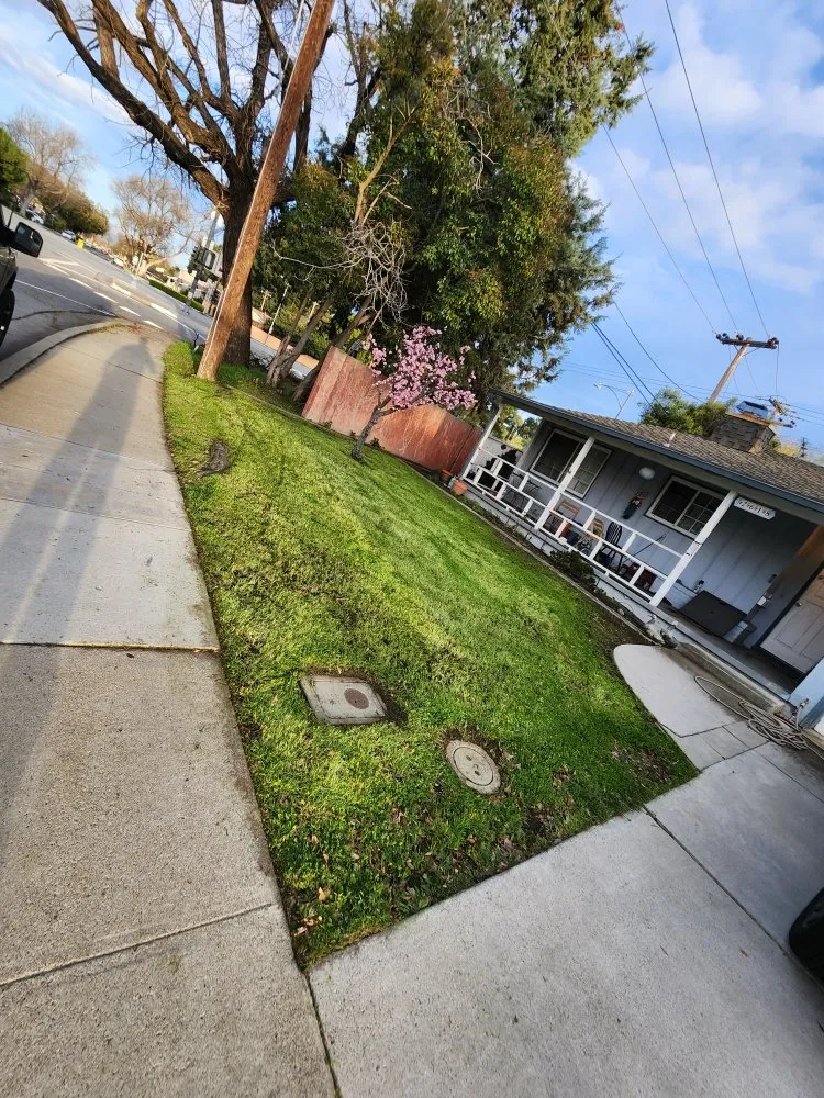 Expert landscaping services for homes across San Jose, CA - Quetzal Landscaping and Maintenance Service