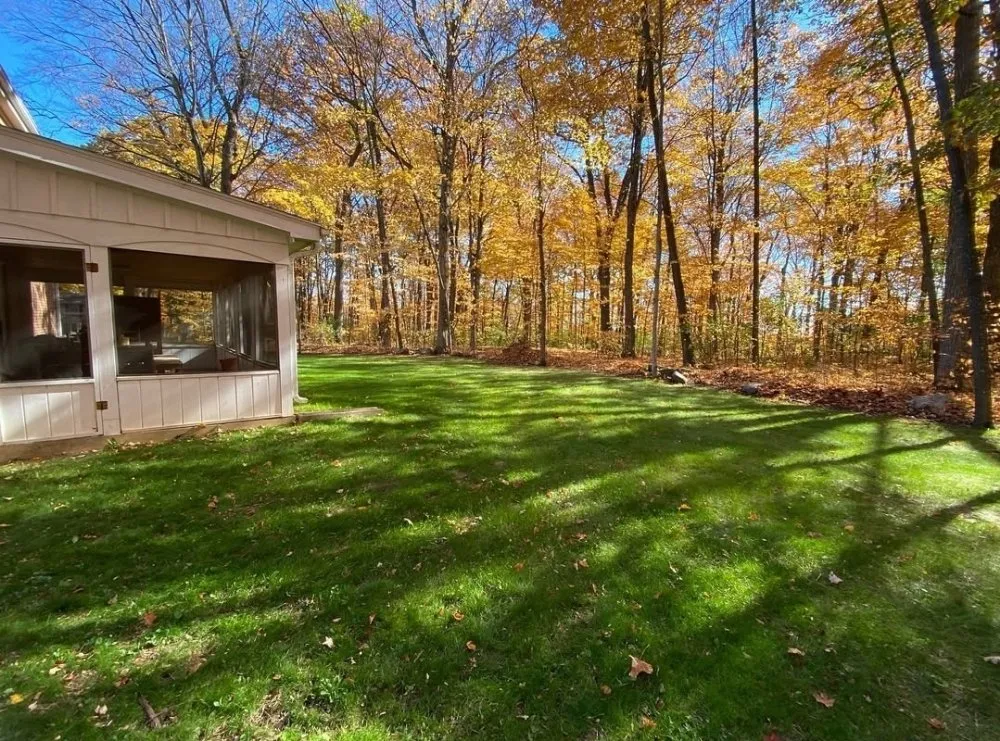 Top-rated garden landscaping experts serving San Jose, CA - Quetzal Landscaping and Maintenance Service