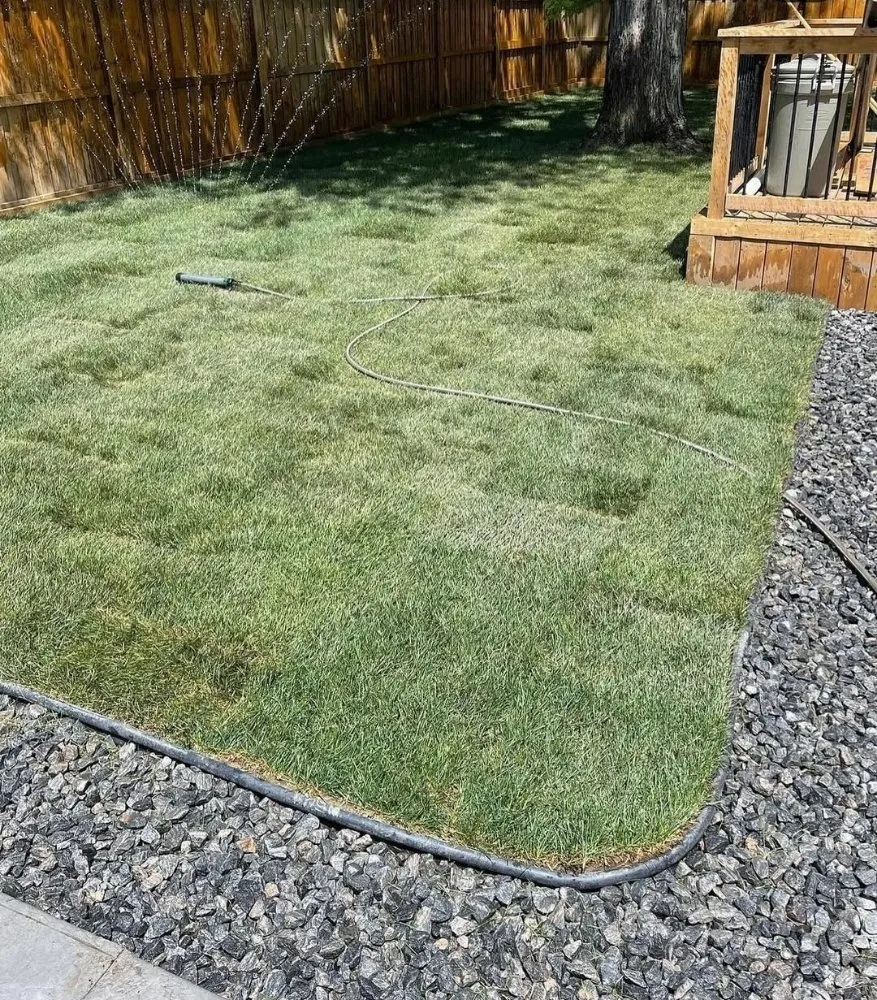 Local landscape design in San Jose, CA by Quetzal Landscaping and Maintenance Service