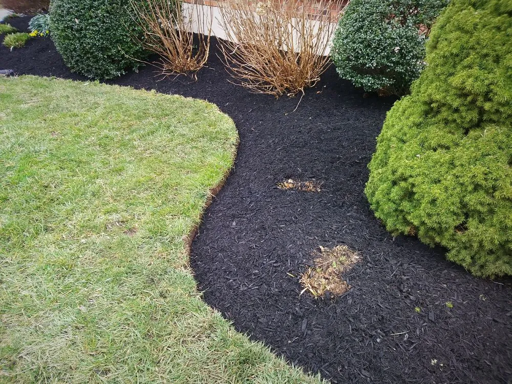 Affordable garden landscaping for year-round maintenance across Kennett Square, PA - Quetzal Lawn Care