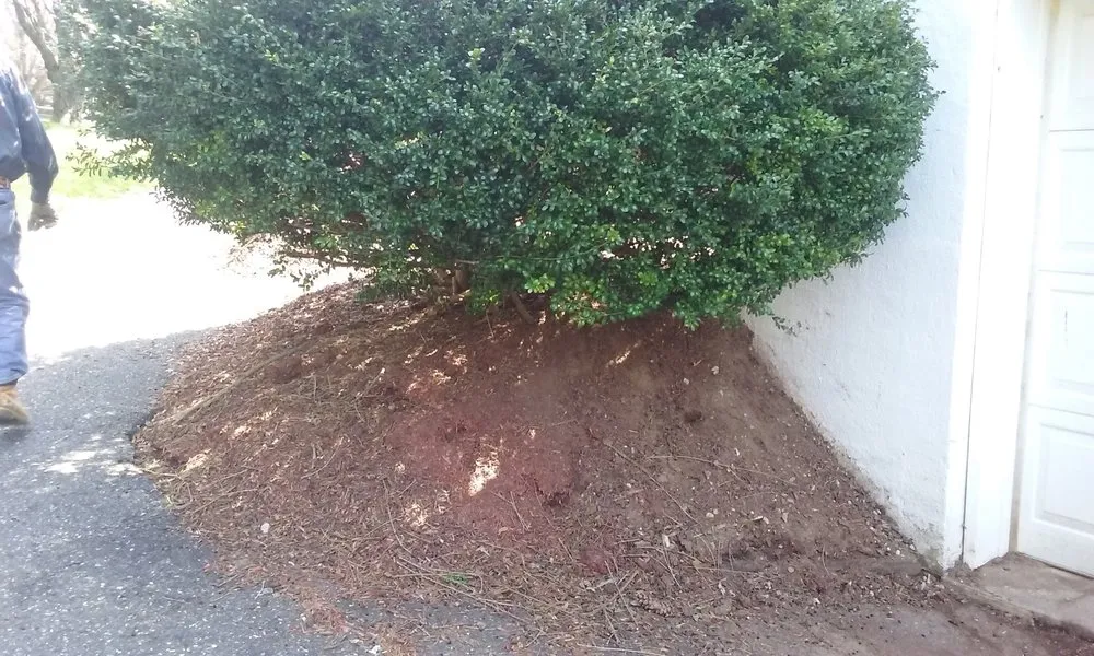 Top-rated landscape installation experts serving Kennett Square, PA - Quetzal Lawn Care