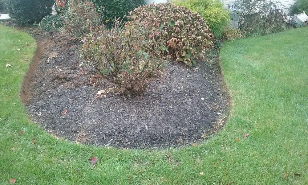 Top-rated yard maintenance for beautiful yards in Kennett Square, PA by Quetzal Lawn Care