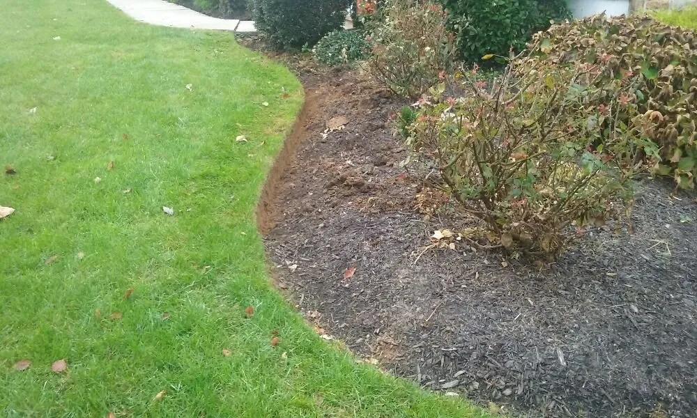 Expert yard maintenance experts serving Kennett Square, PA - Quetzal Lawn Care