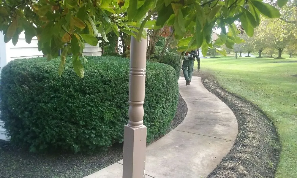 Reliable landscaping services near you in Kennett Square, PA by Quetzal Lawn Care