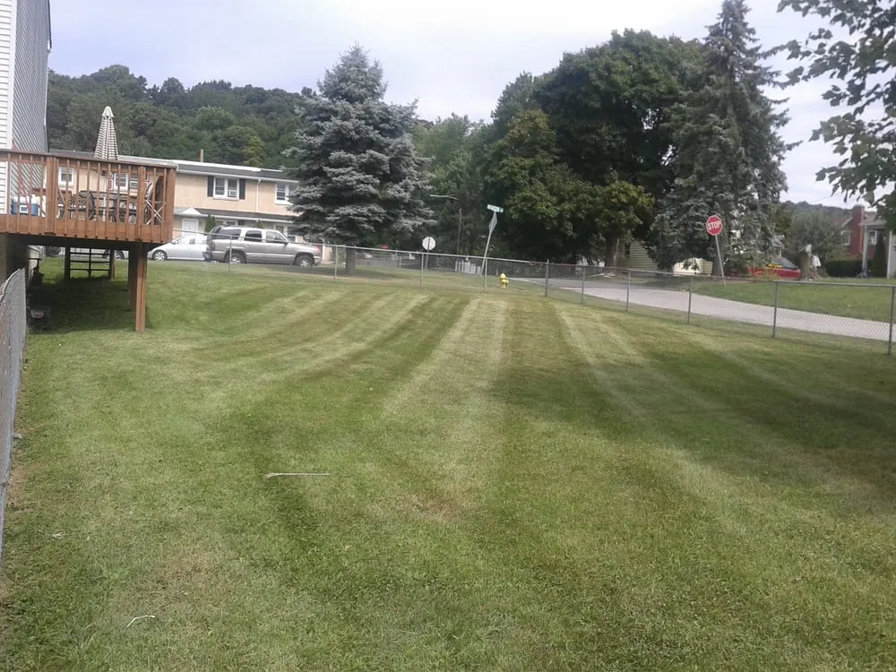 Custom lawn mowing service in Kennett Square, PA - Quetzal Lawn Care