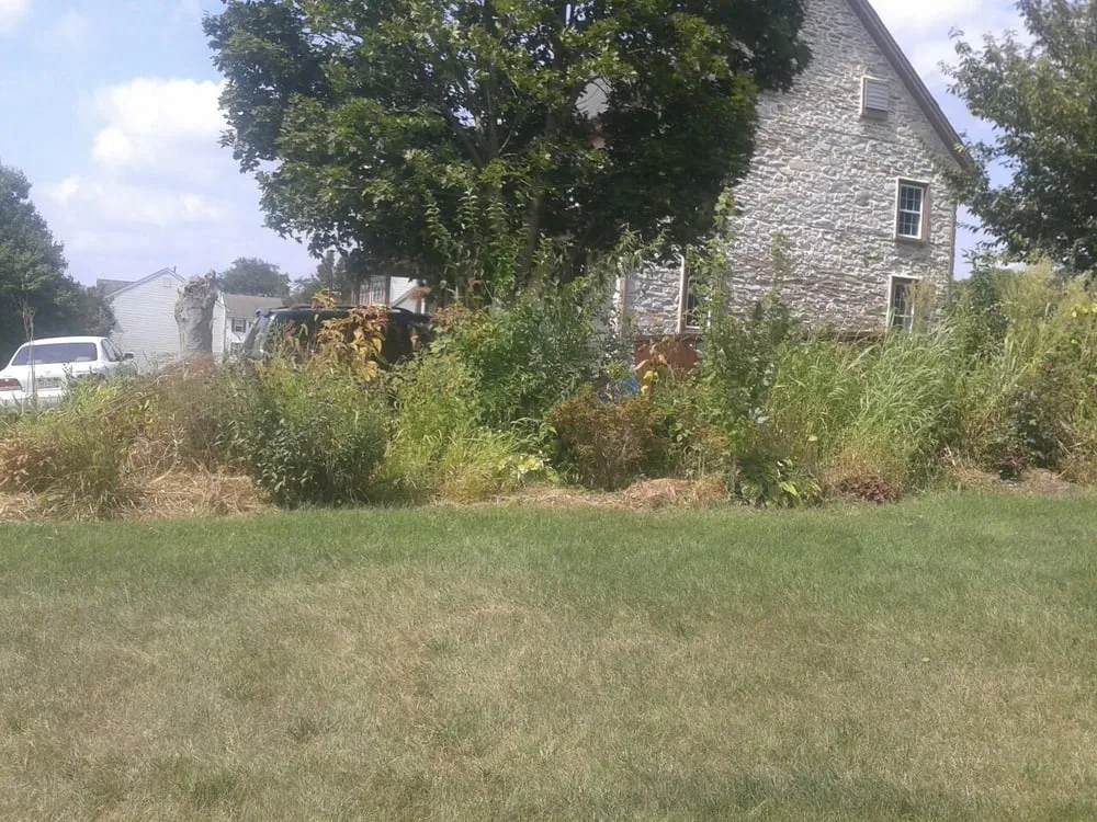 Trusted yard cleanup service with custom design across Kennett Square, PA - Quetzal Lawn Care