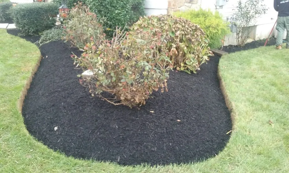 Professional lawn care service in Kennett Square, PA by Quetzal Lawn Care