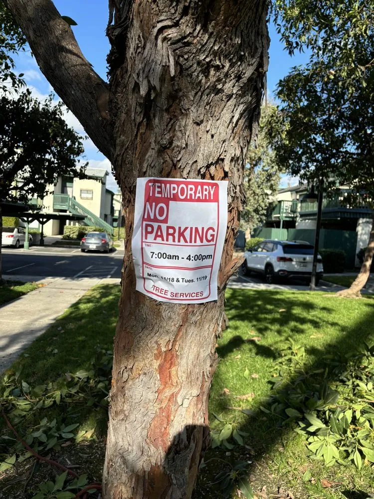 Professional lawn mowing service in Anaheim, CA by Quezada Pro Landscape