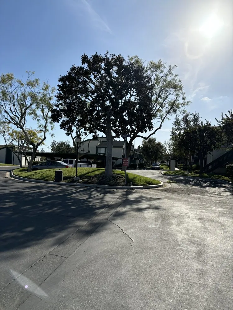 Local yard cleanup service in Anaheim, CA - Quezada Pro Landscape