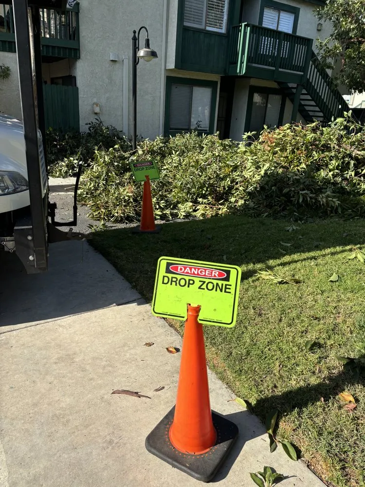 Trusted yard cleanup service in Anaheim, CA - Quezada Pro Landscape