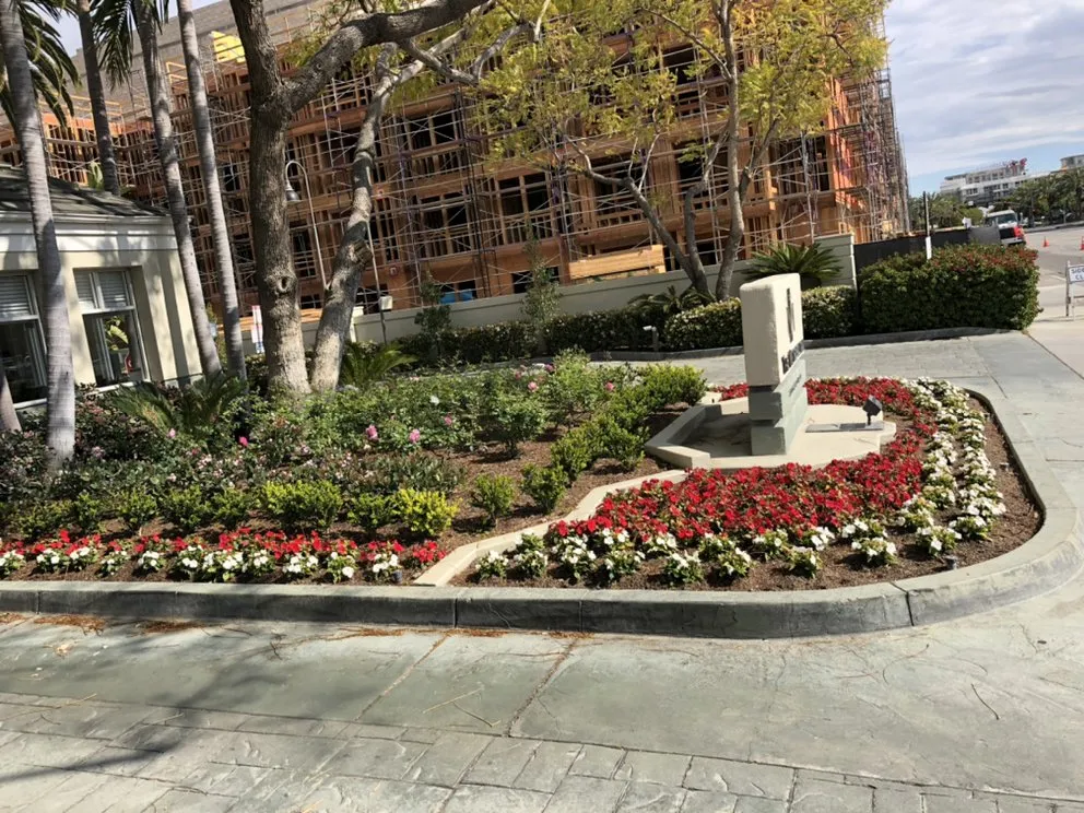 Affordable lawn care service in Anaheim, CA by Quezada Pro Landscape