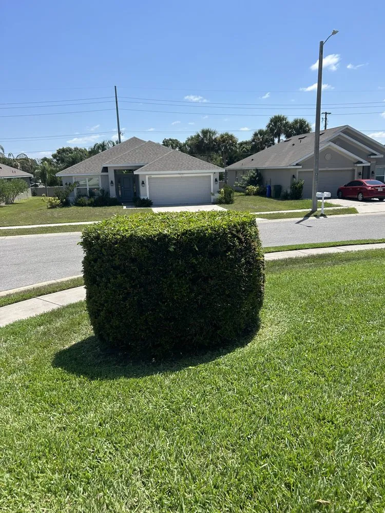 Professional lawn care service in Haines City, FL - Qui Property Management