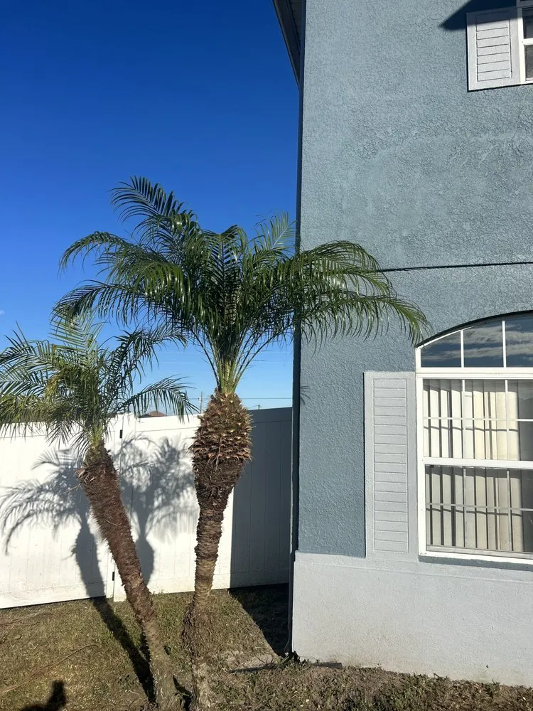 Trusted outdoor landscaping for homes in Haines City, FL by Qui Property Management