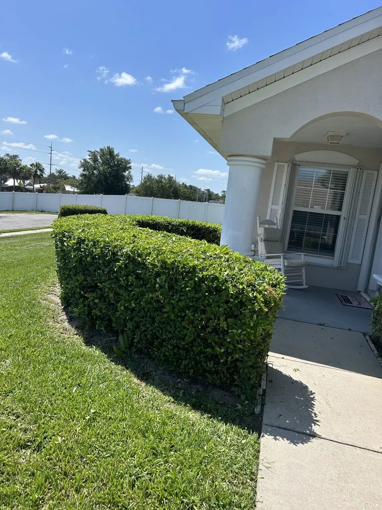 Local landscaping services for beautiful yards in Haines City, FL by Qui Property Management