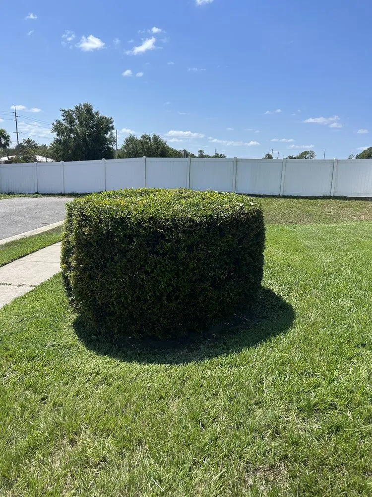 Affordable garden landscaping in Haines City, FL - Qui Property Management