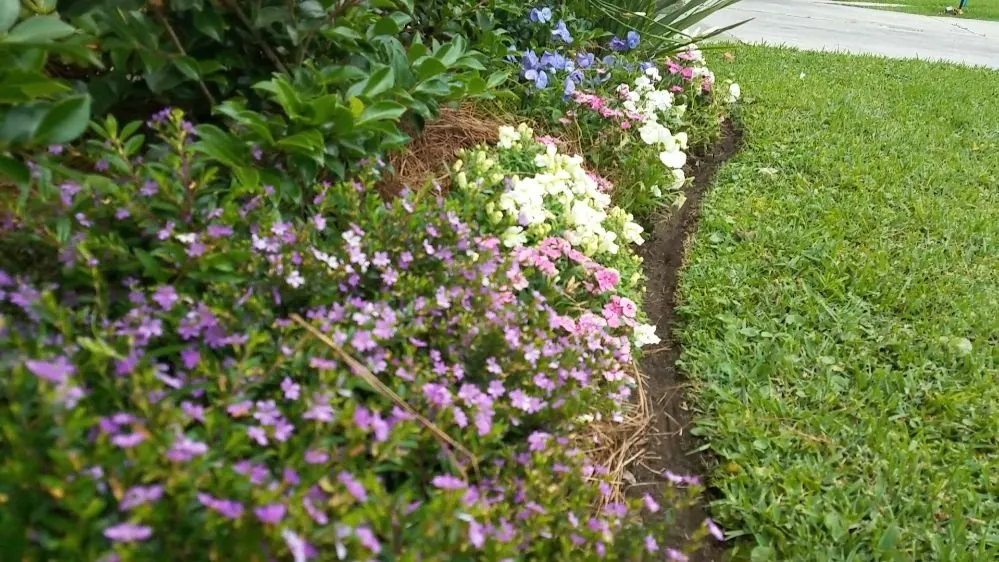 Top-rated lawn mowing service in Metairie, LA by Quick & Clean Lawn Care