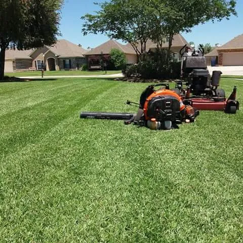 Professional landscaping services for year-round maintenance across Metairie, LA - Quick & Clean Lawn Care