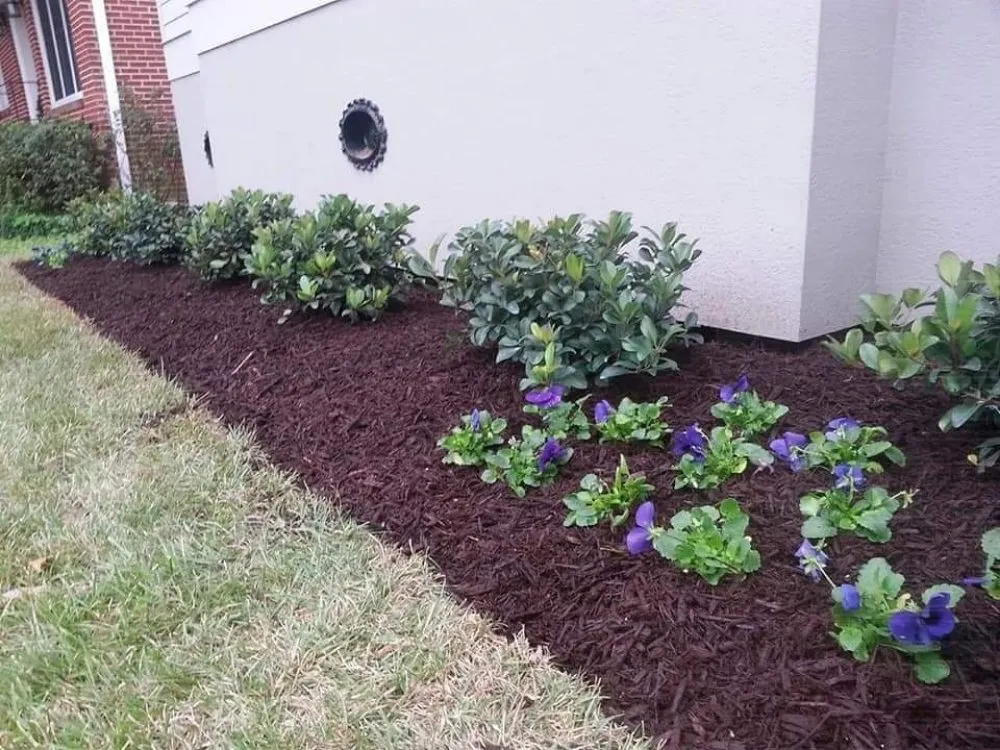 Trusted yard cleanup service experts serving Metairie, LA - Quick & Clean Lawn Care