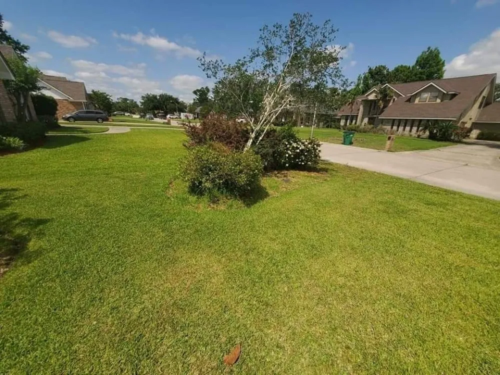 Custom landscaping services with custom design in Metairie, LA by Quick & Clean Lawn Care