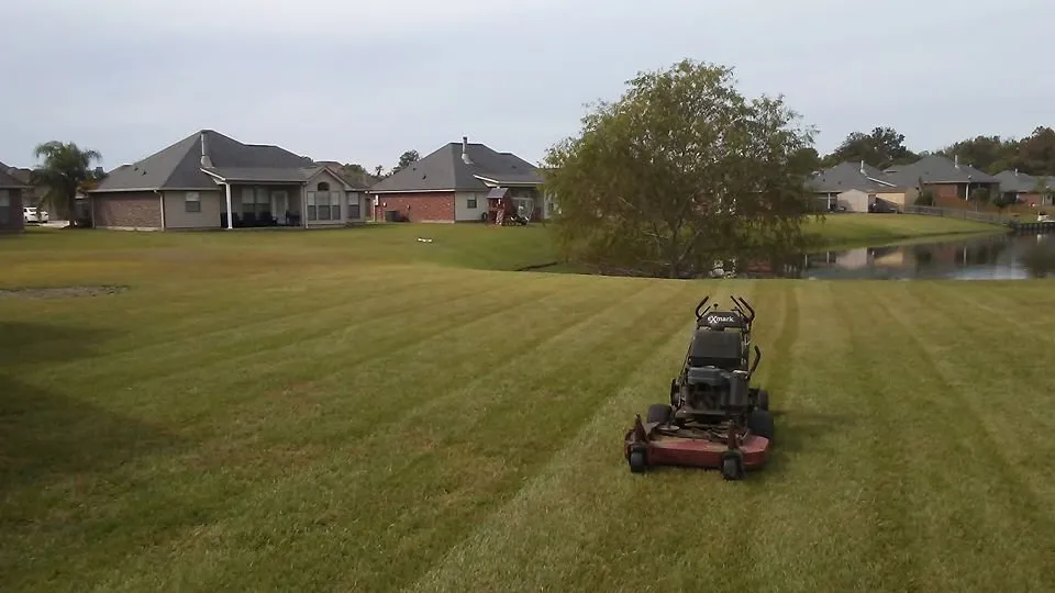 Trusted yard cleanup service with custom design in Metairie, LA by Quick & Clean Lawn Care