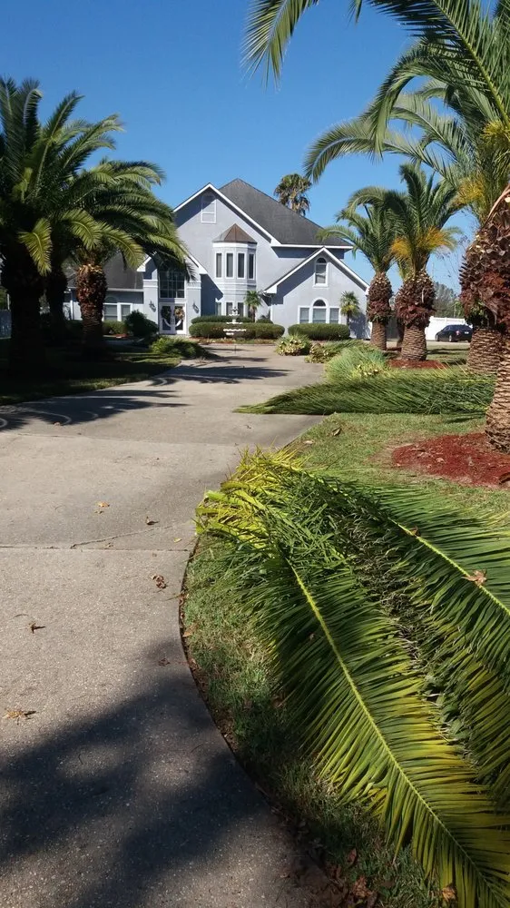 Top-rated lawn care service near you across Metairie, LA - Quick & Clean Lawn Care