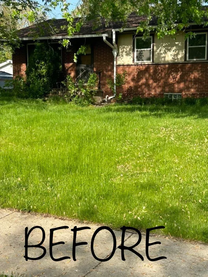 Custom yard cleanup service in Lake Station, IN by Quick & Clean Lawn Care Service