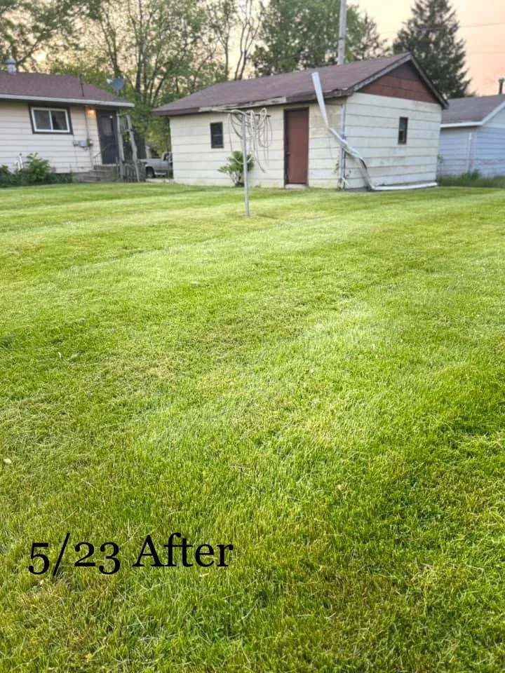 Local yard cleanup service for outdoor upgrades in Lake Station, IN by Quick & Clean Lawn Care Service
