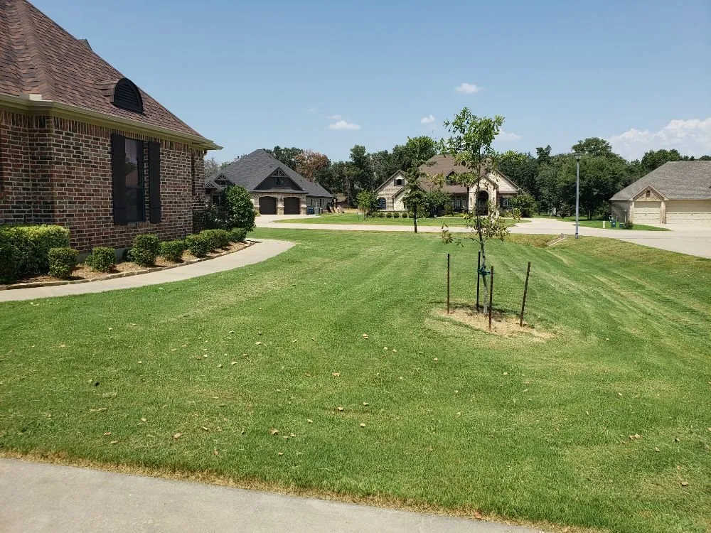 Trusted lawn care service in Springtown, TX - Quick Attack Mowing