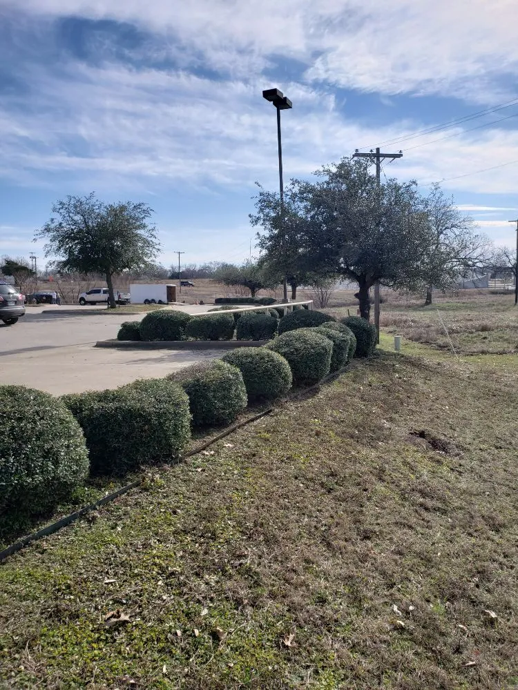 Expert residential landscaping for year-round maintenance in Springtown, TX by Quick Attack Mowing