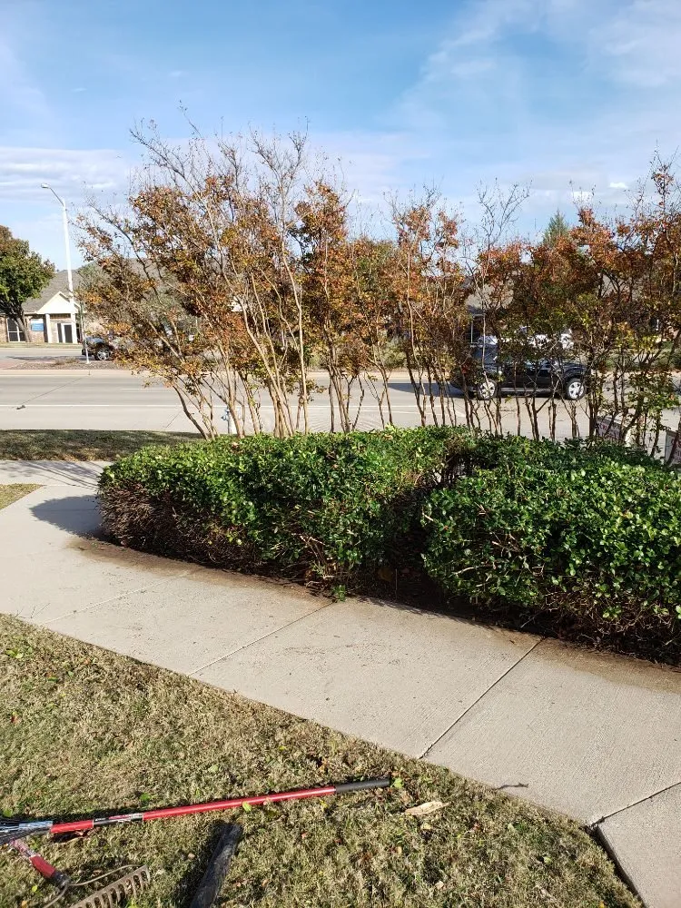 Expert lawn care service in Springtown, TX by Quick Attack Mowing