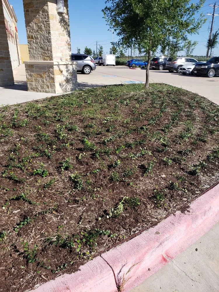 Custom outdoor landscaping in Springtown, TX - Quick Attack Mowing