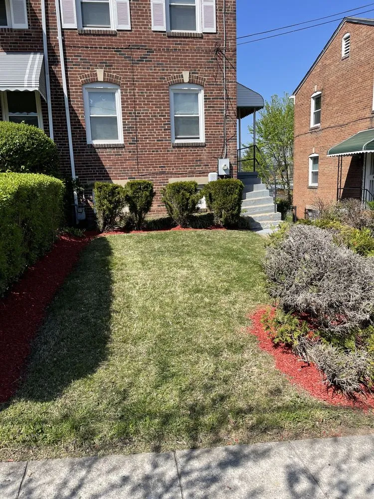 Professional landscaping services with custom design in Baltimore, MD by Quick Call Kenny