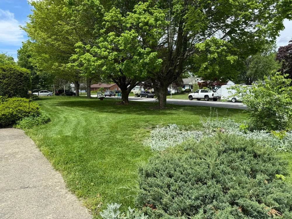 Professional yard cleanup service experts serving Richmond, IN - Quick Clips