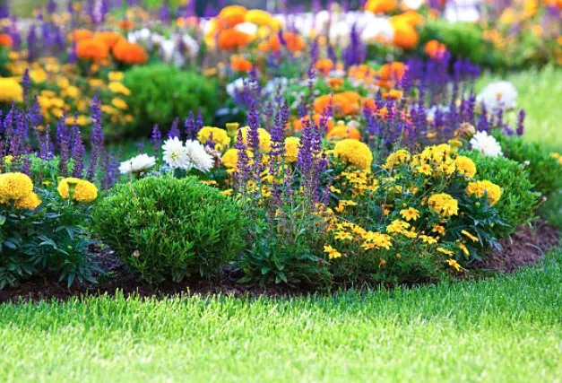 Local yard maintenance experts serving Tullahoma, TN - Quick Clips