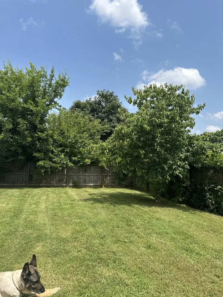 Custom landscape installation for residential properties across Walnut Cove, NC - Quick Cut Lawn Services